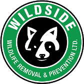 Wildside Wildlife Removal & Prevention Ltd.
